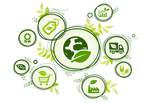 opt multi 8f6f27c08e3845629b4273610d6b5ea9 webp